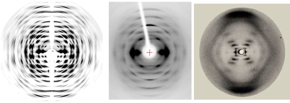 Fibre diffraction patterns of cellulose from tunicate (left) from which the crystal structure of cellulose 1β was determined, sitka spruce (middle) and the fibre diffraction pattern of DNA (right).